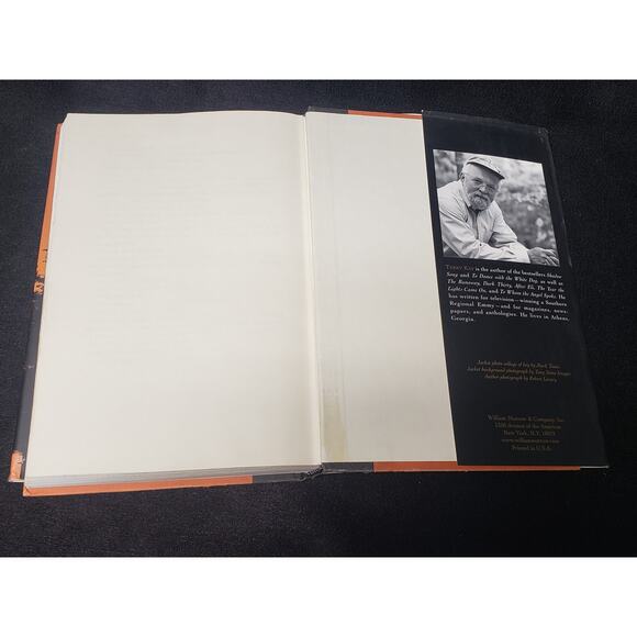 Terry Kay The Kidnapping of Aaron Greene Novel Hardback Book - Picture 8 of 10